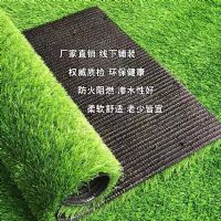 人工草坪，人工草坪廠家，人工草坪施工，人工草坪批發(fā)